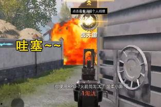 和平精英最新爆料顶瓜瓜,顶瓜瓜带你揭秘游戏最新动态  第3张