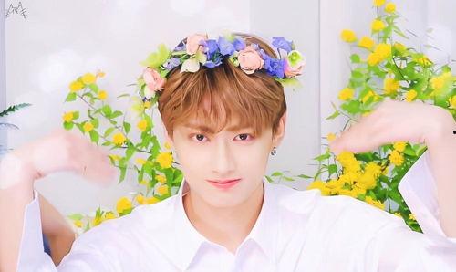 文俊辉最新爆料,幕后故事与心路历程