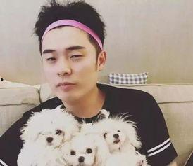 网友爆料张云龙视频是真的吗,网友爆料张云龙视频真实性揭秘 第3张 网友爆料张云龙视频是真的吗,网友爆料张云龙视频真实性揭秘 第3张