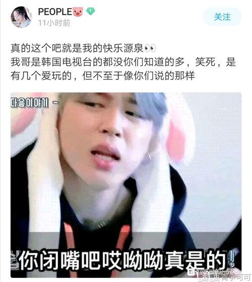 野生菌爆料视频,揭秘大自然的菌类宝藏  第3张