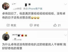 娱乐吃瓜吕小布微博,揭秘娱乐圈幕后故事  第1张